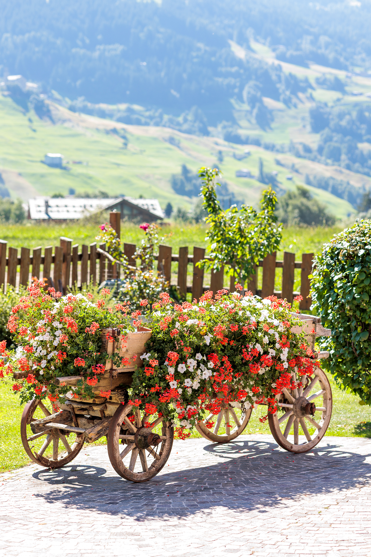 Image gallery marquee