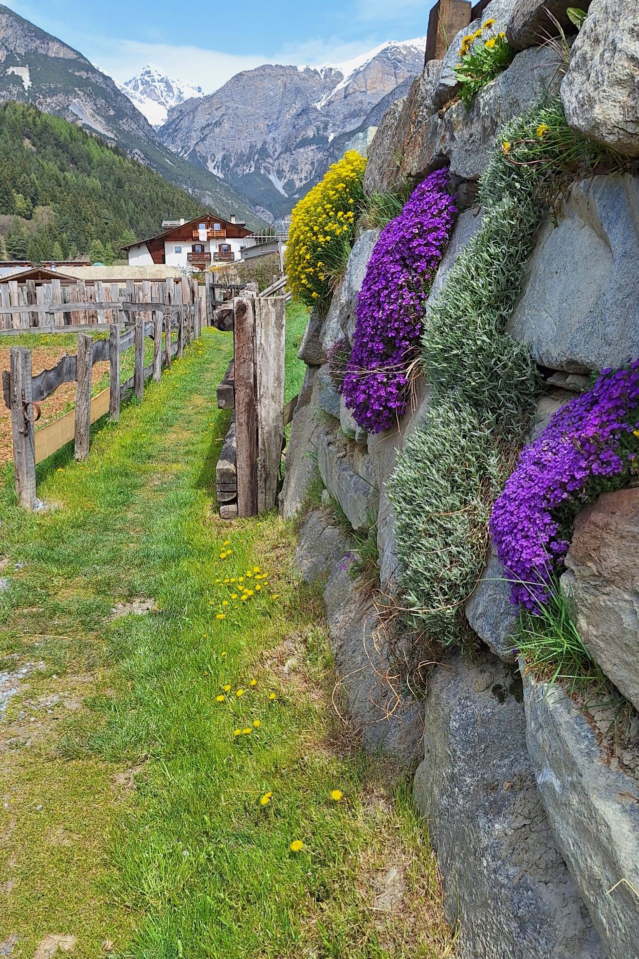 Image gallery marquee